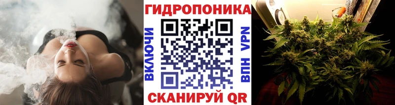 Что такое Моздок Галлюциногенные грибы  А ПВП  Бошки Шишки  ГАШИШ  COCAIN 