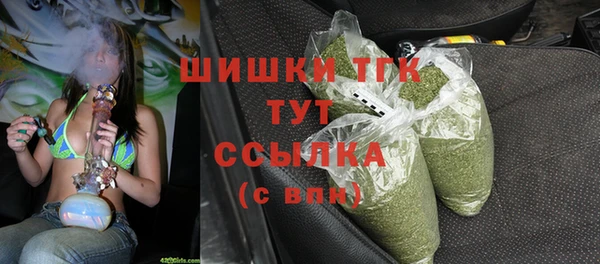 spice Аркадак