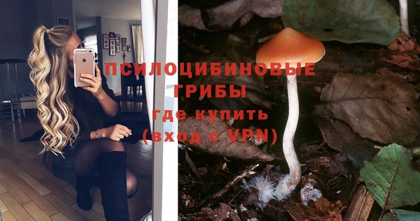 spice Аркадак