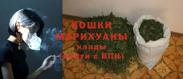 spice Аркадак